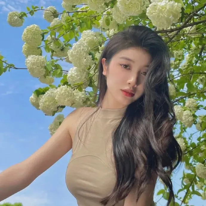 寿命最长刑侦剧《科搜研之女》精选集在线观看：法医女神泽口靖子，用最新科学技术让死者开口